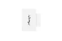WS301_3.webp